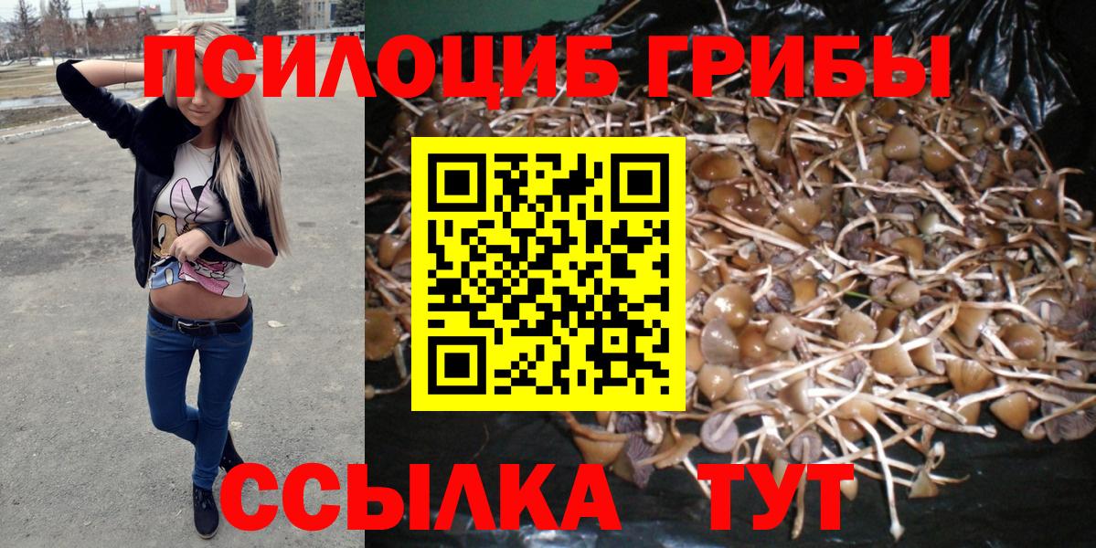 Галлюциногенные грибы прущие грибы Каменка